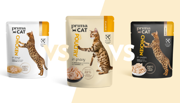 Jí vaše kočka kompletní nebo doplňkové krmivo? PrimaCat