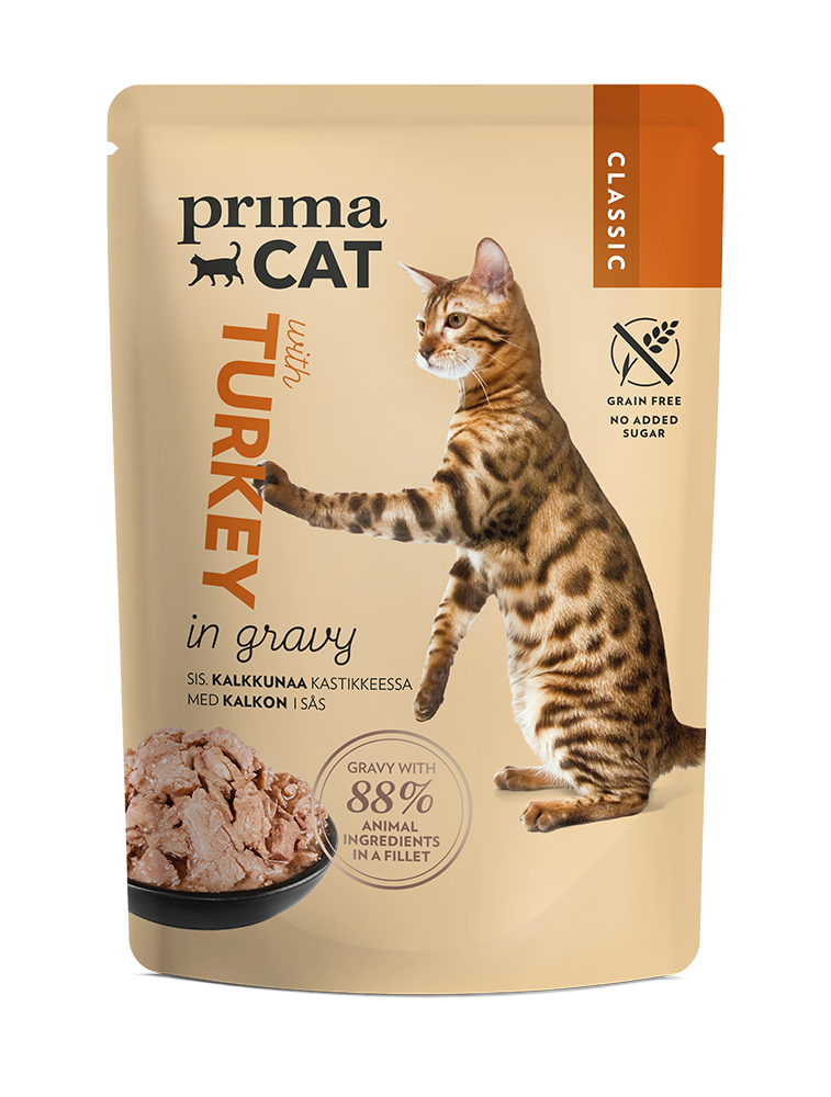 PrimaCat wet food with turkey in gravy for cats