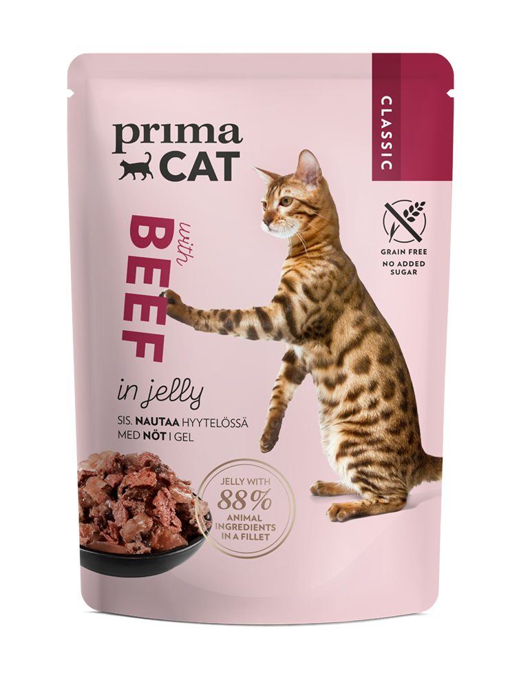 PrimaCat With Beef in Jelly