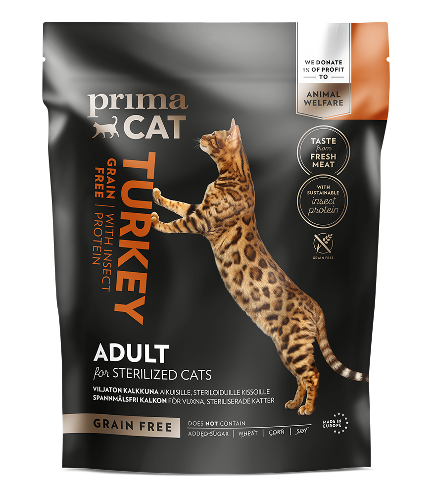 Grains for top cats
