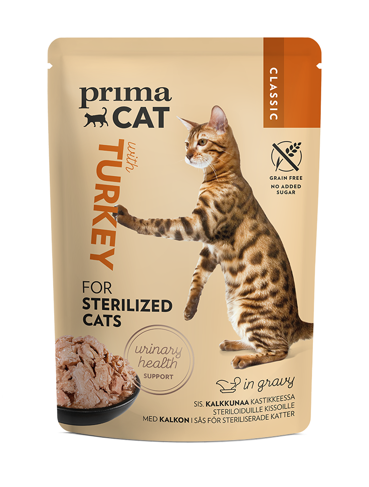 Cat food without sugar outlet