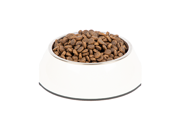 PrimaCat Grain-free Chicken dry cat food kibbles