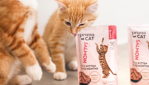 PrimaCat two kittens with Classic wet food