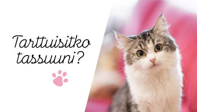 Tartu Tassuun PESU ry PrimaCat