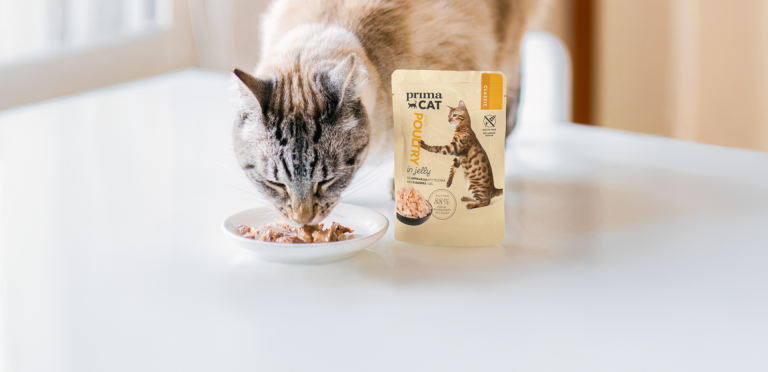 PrimaCat Classic märkäruoka, joka sopii vaativaankin makuun