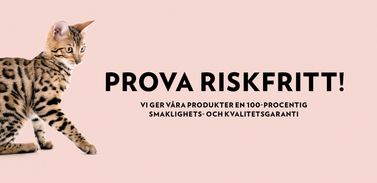 Prova PrimaCat kattmat produkter riskfritt