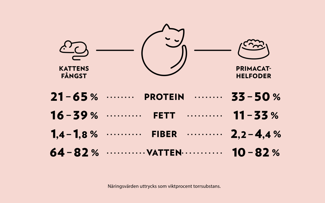 PrimaCat helfoder