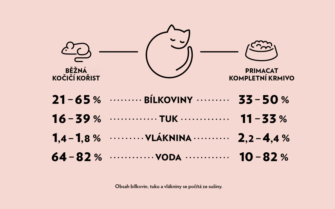 PrimaCat chart banner