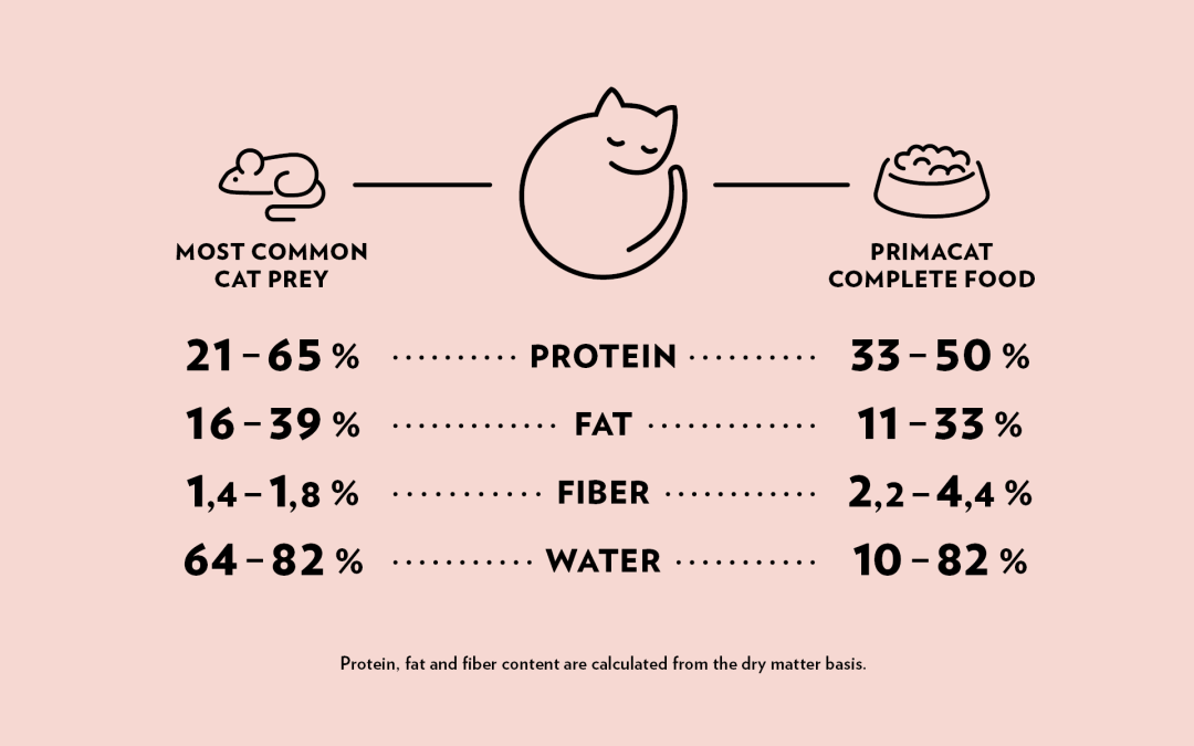 Cat natural diet clearance