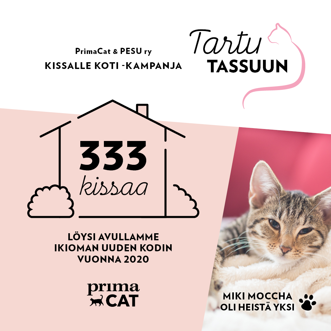 PrimaCat Tartu tassuun kodin löytäneet kissat 2020