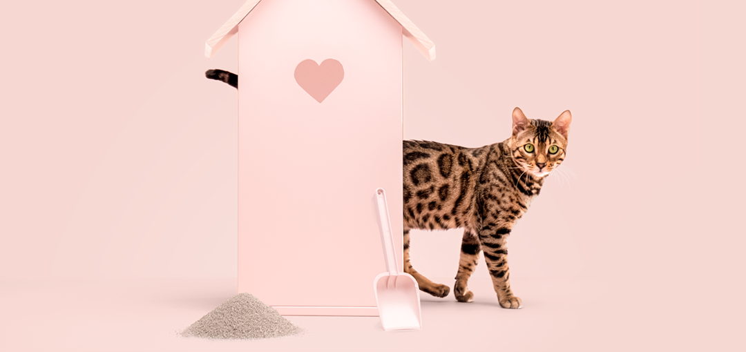 PrimaCat cat litter with cat toilet