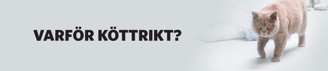 PrimaCat Varför köttrikt?