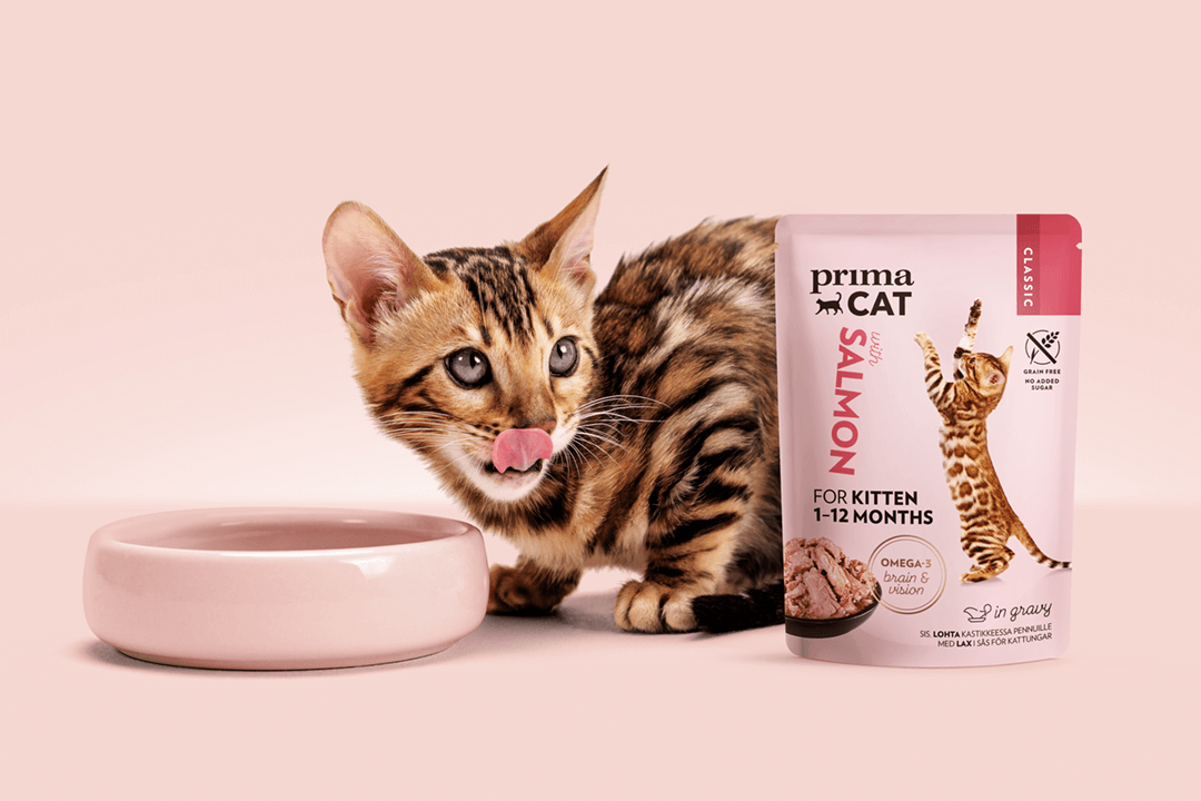 PrimaCat kissanpentu syö
