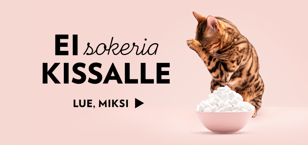 Ei lisättyä sokeria kissalle. Lue mitä haittaa sokerista on kissalle.