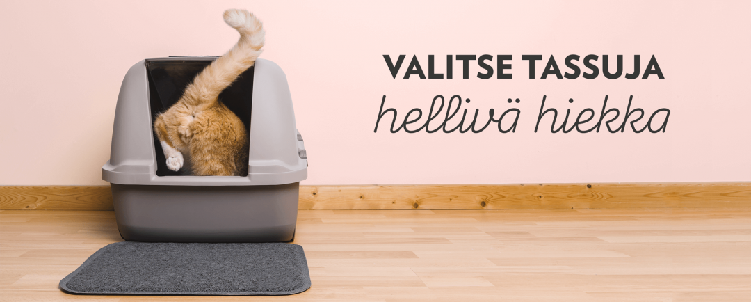 Kissa hiekkalaatikolla PrimaCat