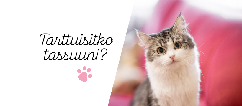 Tartu Tassuun PESU ry PrimaCat