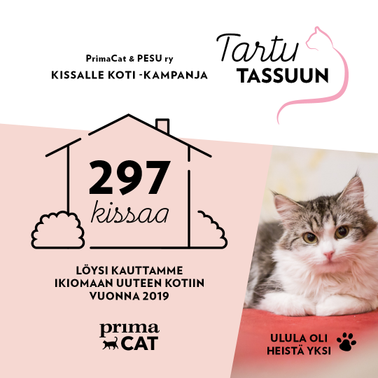 Tartu tassuun koditon kissa PrimaCat