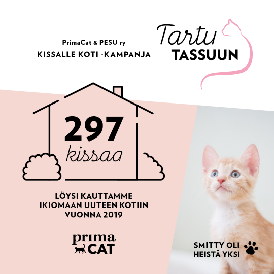 Tartu tassuun koditon kissa PrimaCat