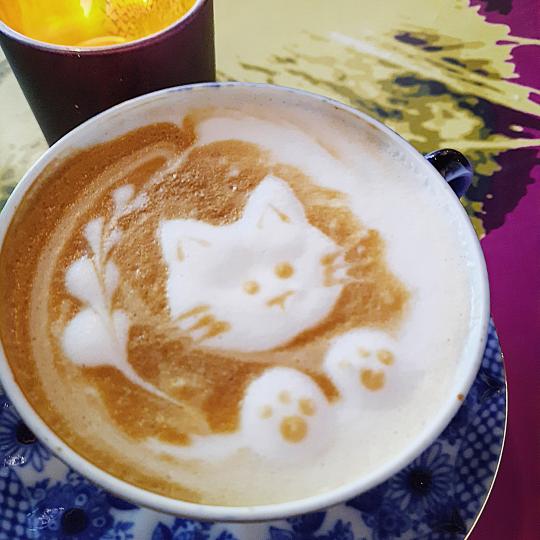 Purnauskiksen kissacappuccino PrimaCat