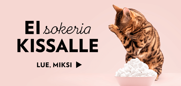 PrimaCat kissanruoka ilman lisättyä sokeria