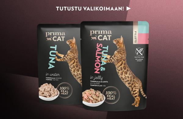 Tutustu PrimaCat Fillets -märkäruokaan