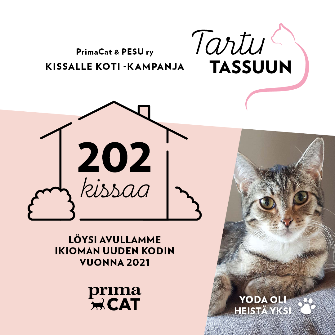 PrimaCat Tartu tassuun kodin löytäneet kissat 2021